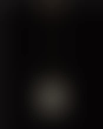 Ceiling light (preview)