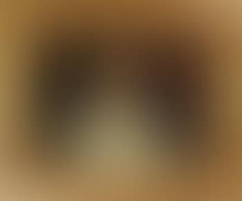 Portrait einer nach links oben blickenden Nonne (preview)