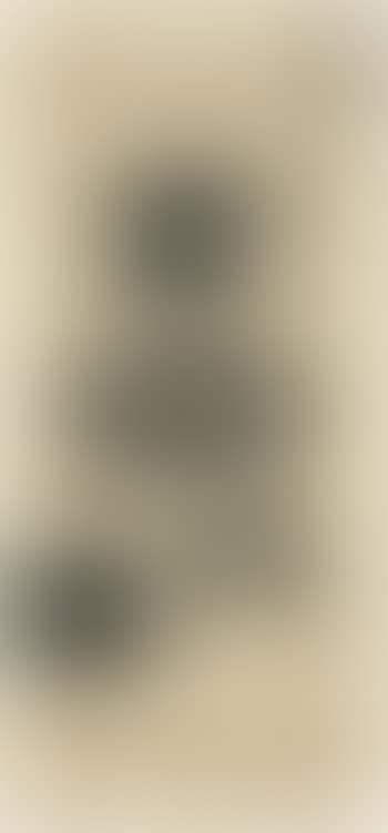 Rubbing from bronze vessel (preview)