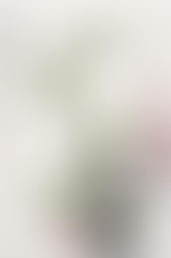 Bamboo plum blossom and rock (preview)
