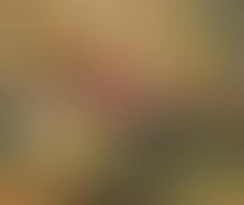 Sans titre (preview)