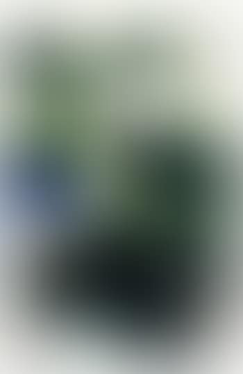Lotus pond after the rain (preview)