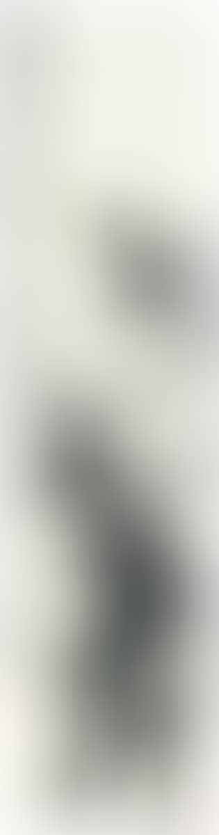 Bamboo (preview)