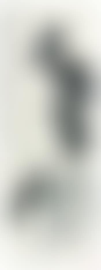 Bamboo and rock (preview)