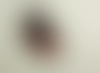 Reclining figure (preview)