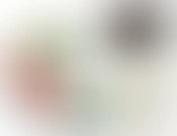 Still life (preview)