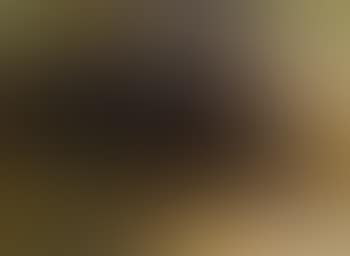A study of a yak (preview)
