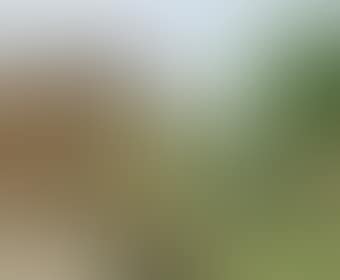 The Ffos at Lle Cul (preview)