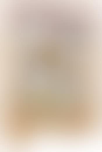 Hunderd Fragen? (preview)