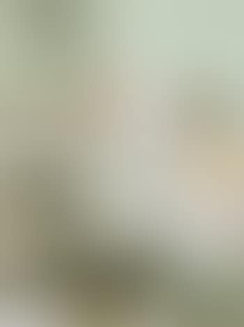 Ihre Sorgen (preview)