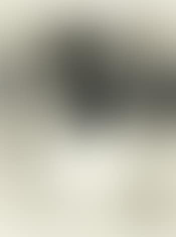 Composition (preview)