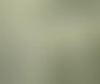 Thumb (preview)