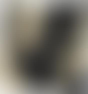 Riconoscimento (preview)