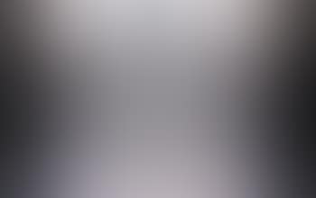Snow crystal roof (preview)