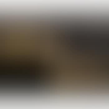 Pair Of Two-light Tulip Sconces (preview)