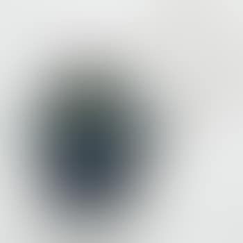 An Important And Rare Mounted Vase (preview)