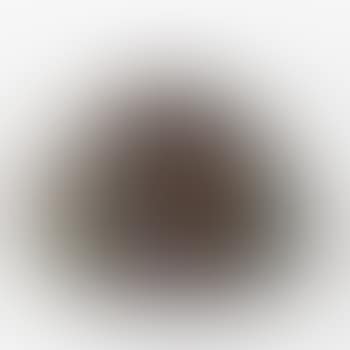A Rare Covered Box (preview)