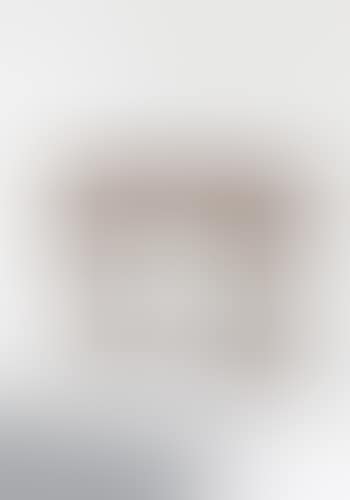 Rare Perou console (preview)
