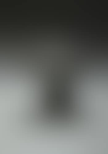 Early Bush sculpture (preview)