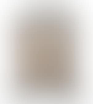 Merles et Raisins: A Molded Glass Illuminated Panel with Sepia Patina (preview)