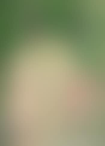 Composition (preview)