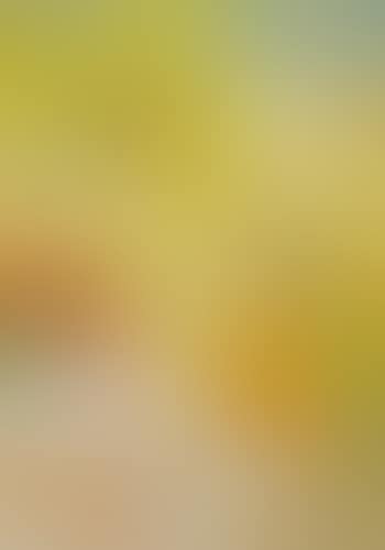 Sur La Terrasse (At The Terrace) (preview)