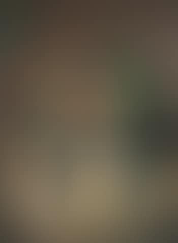 Floral still life (preview)
