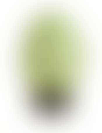 Ägg (preview)