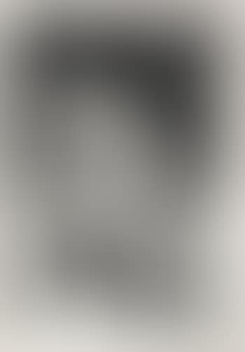 Portrait de Pierre Crommelynck (preview)