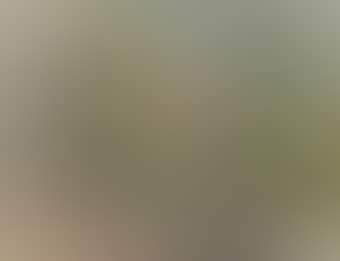 Paysage (preview)