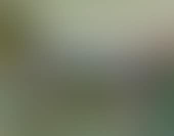 Paysage (preview)