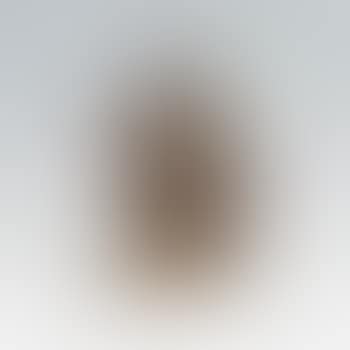 Beduine zu Pferd (preview)