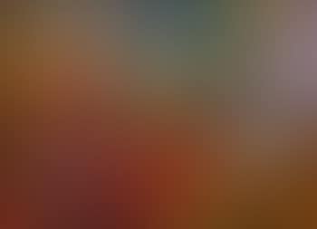Nature morte au tapis rouge (preview)