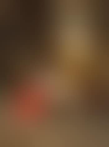 The courtship (preview)