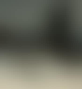Neige (preview)