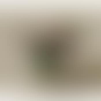 Lilas (preview)