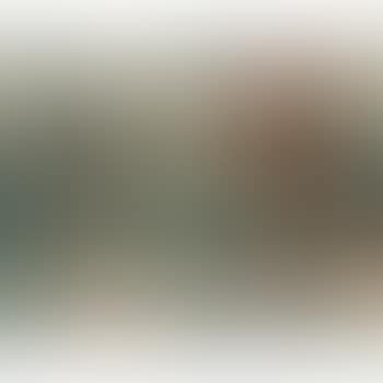 Arbres (preview)