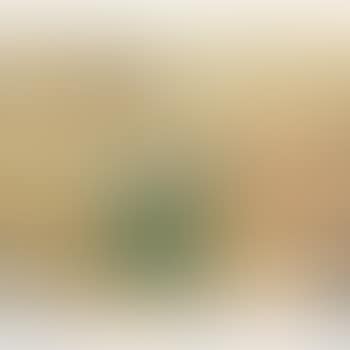 Autoportrait Dans L'atelier (preview)