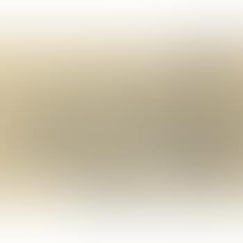Liegende Nackte (Reclining Nude) (preview)