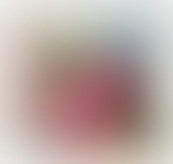 Mercator (preview)