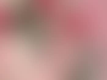 Les pivoines (preview)
