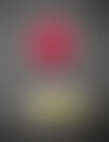 SE 206, Rose (preview)