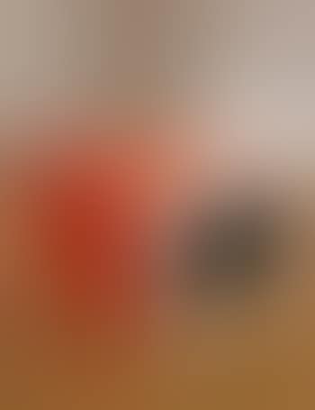 Untitled (DSS 155) (preview)