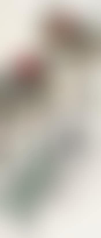 Peony (preview)