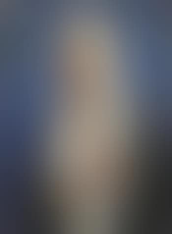 Untitled (portrait of veiled woman) (preview)