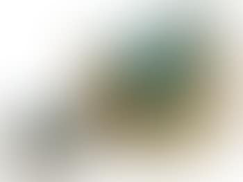 Echo chamber (preview)