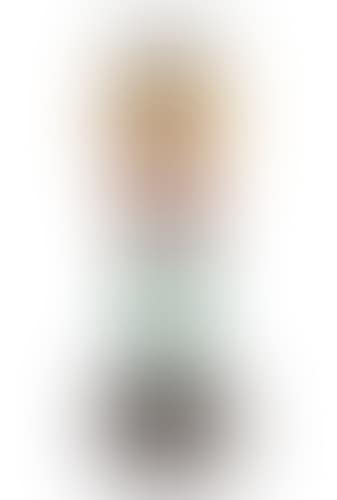 Totems (preview)