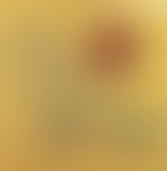 Bird (preview)