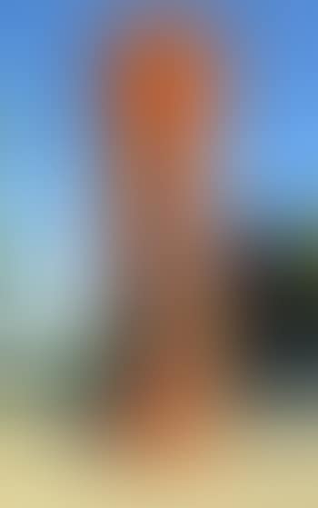 Walking Figure (preview)