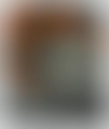 Head Of Gerda Boehm (preview)
